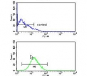 Flow cytometry testing of human CCRF-CEM cells with GPANK1 antibody; Blue=isotype control, Green= GPANK1 antibody.