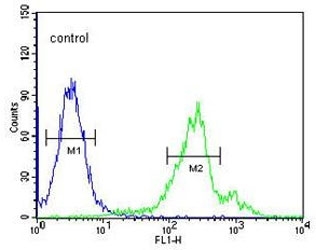 Flow cytometry testing of human HEK293 cells with CDC42EP3 antibody; Blue=isotype control, Green= CDC42EP3 antibody.