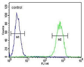 Flow cytometry testing of human MDA-MB-231 cells with GPA33 antibody; Blue=isotype control, Green= GPA33 antibody.