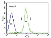 Flow cytometry testing of human HepG2 cells with Haptoglobin antibody; Blue=isotype control, Green= Haptoglobin antibody.