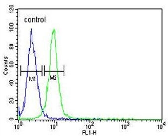 Flow cytometry testing of human HEK293 cells with RPL18A antibody; Blue=isotype control, Green= RPL18A antibody.