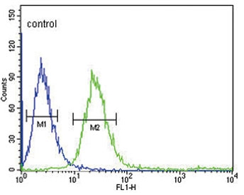 Flow cytometry testing of human CCRF-CEM cells with FCGR1B antibody; Blue=isotype control, Green= FCGR1B antibody.