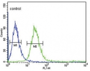 Flow cytometry testing of human CCRF-CEM cells with FCGR1B antibody; Blue=isotype control, Green= FCGR1B antibody.