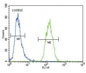 Flow cytometry testing of human MDA-MB-231 cells with XDH antibody; Blue=isotype control, Green= XDH antibody.