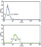 Flow cytometry testing of human HeLa cells with Exostosin 2 antibody; Blue=isotype control, Green= Exostosin 2 antibody.