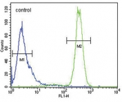 Flow cytometry testing of human HeLa cells with CDKN2D antibody; Blue=isotype control, Green= CDKN2D antibody.