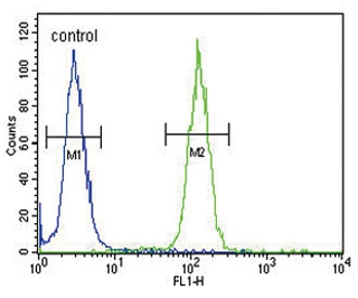 Flow cytometry testing of human HEK293 cells with NCOA7 antibody; Blue=isotype control, Green= NCOA7 antibody.