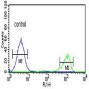 Flow cytometry testing of human K562 cells with ADH7 antibody; Blue=isotype control, Green= ADH7 antibody.
