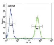 Flow cytometry testing of human MDA-MB-231 cells with Mitoferrin-1 antibody; Blue=isotype control, Green= Mitoferrin-1 antibody.