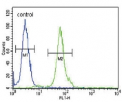 Flow cytometry testing of human HEK293 cells with DFFB antibody; Blue=isotype control, Green= DFFB antibody.