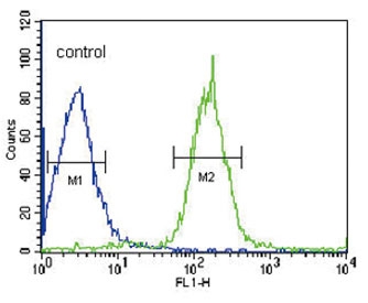 Flow cytometry testing of human HepG2 cells with CaI-PLA2 antibody; Blue=isotype control, Green= CaI-PLA2 antibody.