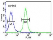 Flow cytometry testing of human K562 cells with Speedy protein A antibody; Blue=isotype control, Green= Speedy protein A antibody.