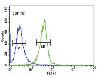 Flow cytometry testing of human K562 cells with DNAJC6 antibody; Blue=isotype control, Green= DNAJC6 antibody.