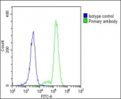 MyD88 antibody flow cytometric analysis of fixed and permeabilized human K562 cells (green) compared to aÂ negative control (blue). FITC-conjugated goat-anti-rabbit secondary Ab was used for the analysis.