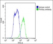 Flow cytometry testing of fixed human HepG2 cells with SLC10A1 antibody; Blue=isotype control, Green= SLC10A1 antibody.