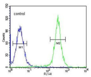 Flow cytometry testing of human HEK293 cells with GSDMA antibody; Blue=isotype control, Green= GSDMA antibody.