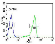 Flow cytometry testing of fixed and permeabilized human HL60 cells with CAPN3 antibody; Blue=isotype control, Green= CAPN3 antibody.