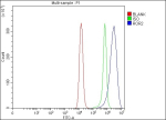 Flow Cytometry analysis of Raji cells using anti-ROR2 antibody. Overlay histogram showing Raji cells stained with (Blue line). The cells were fixed with 4% paraformaldehyde and blocked with 10% normal goat serum. And then incubated with rabbit anti-ROR2 antibody (1 ug/million cells) for 30 min at 20oC. DyLight 488 conjugated goat anti-rabbit IgG (5-10 ug/million cells) was used as secondary antibody for 30 minutes at 20oC. Isotype control antibody (Green line) was rabbit IgG (1 ug/million cells) used under the same conditions. Unlabelled sample without incubation with primary antibody and secondary antibody (Red line) was used as a blank control.