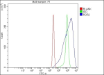 Flow Cytometry analysis of K562 cells using anti-ROR2 antibody. Overlay histogram showing K562 cells stained with (Blue line). The cells were fixed with 4% paraformaldehyde and blocked with 10% normal goat serum. And then incubated with rabbit anti-ROR2 antibody (1 ug/million cells) for 30 min at 20oC. DyLight 488 conjugated goat anti-rabbit IgG (5-10 ug/million cells) was used as secondary antibody for 30 minutes at 20oC. Isotype control antibody (Green line) was rabbit IgG (1 ug/million cells) used under the same conditions. Unlabelled sample without incubation with primary antibody and secondary antibody (Red line) was used as a blank control.