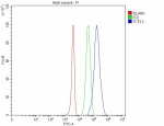 Flow Cytometry analysis of 293T cells using anti-TCF12 antibody. Overlay histogram showing 293T cells stained with (Blue line). To facilitate intracellular staining, cells were fixed with 4% paraformaldehyde and permeabilized with permeabilization buffer. The cells were blocked with 10% normal goat serum. And then incubated with rabbit anti-TCF12 antibody (1 ug/million cells) for 30 min at 20oC. DyLight 488 conjugated goat anti-rabbit IgG (5-10 ug/million cells) was used as secondary antibody for 30 minutes at 20oC. Isotype control antibody (Green line) was rabbit IgG (1 ug/million cells) used under the same conditions. Unlabelled sample without incubation with primary antibody and secondary antibody (Red line) was used as a blank control.