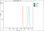 Flow Cytometry analysis of 293T cells using anti-RILPL1 antibody. Overlay histogram showing 293T cells stained with (Blue line). To facilitate intracellular staining, cells were fixed with 4% paraformaldehyde and permeabilized with permeabilization buffer. The cells were blocked with 10% normal goat serum. And then incubated with rabbit anti-RILPL1 antibody (1 ug/million cells) for 30 min at 20oC. DyLight 488 conjugated goat anti-rabbit IgG (5-10 ug/million cells) was used as secondary antibody for 30 minutes at 20oC. Isotype control antibody (Green line) was rabbit IgG (1 ug/million cells) used under the same conditions. Unlabelled sample (Red line) was also used as a control.