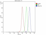 Flow Cytometry analysis of 293T cells using anti-GALNT15 antibody. Overlay histogram showing 293T cells stained with (Blue line). To facilitate intracellular staining, cells were fixed with 4% paraformaldehyde and permeabilized with permeabilization buffer. The cells were blocked with 10% normal goat serum. And then incubated with rabbit anti-GALNT15 antibody (1 ug/million cells) for 30 min at 20oC. DyLight 488 conjugated goat anti-rabbit IgG (5-10 ug/million cells) was used as secondary antibody for 30 minutes at 20oC. Isotype control antibody (Green line) was rabbit IgG (1 ug/million cells) used under the same conditions. Unlabelled sample without incubation with primary antibody and secondary antibody (Red line) was used as a blank control.