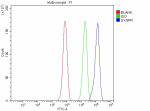 Flow Cytometry analysis of HepG2 cells using anti-SYNPR antibody. Overlay histogram showing HepG2 cells stained with (Blue line). To facilitate intracellular staining, cells were fixed with 4% paraformaldehyde and permeabilized with permeabilization buffer. The cells were blocked with 10% normal goat serum. And then incubated with rabbit anti-SYNPR antibody (1 ug/million cells) for 30 min at 20oC. DyLight 488 conjugated goat anti-rabbit IgG (5-10 ug/million cells) was used as secondary antibody for 30 minutes at 20oC. Isotype control antibody (Green line) was rabbit IgG (1 ug/million cells) used under the same conditions. Unlabelled sample without incubation with primary antibody and secondary antibody (Red line) was used as a blank control.