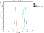 Flow Cytometry analysis of HEL cells using anti-NAP1L3 antibody. Overlay histogram showing HEL cells stained with (Blue line). To facilitate intracellular staining, cells were fixed with 4% paraformaldehyde and permeabilized with permeabilization buffer. The cells were blocked with 10% normal goat serum. And then incubated with rabbit anti-NAP1L3 antibody (1 ug/million cells) for 30 min at 20oC. DyLight 488 conjugated goat anti-rabbit IgG (5-10 ug/million cells) was used as secondary antibody for 30 minutes at 20oC. Isotype control antibody (Green line) was rabbit IgG (1 ug/million cells) used under the same conditions. Unlabelled sample without incubation with primary antibody and secondary antibody (Red line) was used as a blank control.