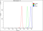 Flow Cytometry analysis of HepG2 cells using anti-LLGL2 antibody. Overlay histogram showing HepG2 cells stained with (Blue line). To facilitate intracellular staining, cells were fixed with 4% paraformaldehyde and permeabilized with permeabilization buffer. The cells were blocked with 10% normal goat serum. And then incubated with rabbit anti-LLGL2 antibody (1 ug/million cells) for 30 min at 20oC. DyLight 488 conjugated goat anti-rabbit IgG (5-10 ug/million cells) was used as secondary antibody for 30 minutes at 20oC. Isotype control antibody (Green line) was rabbit IgG (1 ug/million cells) used under the same conditions. Unlabelled sample (Red line) was also used as a control.