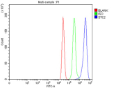 Flow cytometry testing of fixed and permeabilized human MCF7 cells with STC2 antibody at 1ug/million cells (blocked with goat sera); Red=cells alone, Green=isotype control, Blue= STC2 antibody.