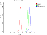 Flow Cytometry analysis of HEL cells using anti-UBE4B antibody. Overlay histogram showing HEL cells stained with (Blue line). To facilitate intracellular staining, cells were fixed with 4% paraformaldehyde and permeabilized with permeabilization buffer. The cells were blocked with 10% normal goat serum. And then incubated with rabbit anti-UBE4B antibody (1 ug/million cells) for 30 min at 20oC. DyLight 488 conjugated goat anti-rabbit IgG (5-10 ug/million cells) was used as secondary antibody for 30 minutes at 20oC. Isotype control antibody (Green line) was rabbit IgG (1 ug/million cells) used under the same conditions. Unlabelled sample without incubation with primary antibody and secondary antibody (Red line) was used as a blank control.