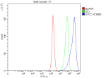 Flow Cytometry analysis of PC-3 cells using anti-SUCO antibody. Overlay histogram showing PC-3 cells stained with (Blue line). To facilitate intracellular staining, cells were fixed with 4% paraformaldehyde and permeabilized with permeabilization buffer. The cells were blocked with 10% normal goat serum. And then incubated with rabbit anti-SUCO antibody (1 ug/million cells) for 30 min at 20oC. DyLight 488 conjugated goat anti-rabbit IgG (5-10 ug/million cells) was used as secondary antibody for 30 minutes at 20oC. Isotype control antibody (Green line) was rabbit IgG (1 ug/million cells) used under the same conditions. Unlabelled sample without incubation with primary antibody and secondary antibody (Red line) was used as a blank control.