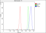 Flow Cytometry analysis of U251 cells using anti-PNLIP antibody. Overlay histogram showing U251 cells stained with (Blue line). The cells were fixed with 4% paraformaldehyde and blocked with 10% normal goat serum. And then incubated with rabbit anti-PNLIP antibody (1 ug/million cells) for 30 min at 20oC. DyLight 488 conjugated goat anti-rabbit IgG (5-10 ug/million cells) was used as secondary antibody for 30 minutes at 20oC. Isotype control antibody (Green line) was rabbit IgG (1 ug/million cells) used under the same conditions. Unlabelled sample (Red line) was also used as a control.