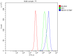 Flow Cytometry analysis of HepG2 cells using anti-NEK9 antibody. Overlay histogram showing HepG2 cells stained with (Blue line). To facilitate intracellular staining, cells were fixed with 4% paraformaldehyde and permeabilized with permeabilization buffer. The cells were blocked with 10% normal goat serum. And then incubated with rabbit anti-NEK9 antibody (1 ug/million cells) for 30 min at 20oC. DyLight 488 conjugated goat anti-rabbit IgG (5-10 ug/million cells) was used as secondary antibody for 30 minutes at 20oC. Isotype control antibody (Green line) was rabbit IgG (1 ug/million cells) used under the same conditions. Unlabelled sample without incubation with primary antibody and secondary antibody (Red line) was used as a blank control.