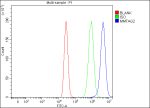 Flow Cytometry analysis of MCF-7 cells using anti-MMTAG2 antibody. Overlay histogram showing MCF-7 cells stained with (Blue line). The cells were fixed with 4% paraformaldehyde and blocked with 10% normal goat serum. And then incubated with rabbit anti-MMTAG2 antibody (1 ug/million cells) for 30 min at 20oC. DyLight 488 conjugated goat anti-rabbit IgG (5-10 ug/million cells) was used as secondary antibody for 30 minutes at 20oC. Isotype control antibody (Green line) was rabbit IgG (1 ug/million cells) used under the same conditions. Unlabelled sample (Red line) was also used as a control.