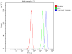 Flow Cytometry analysis of HEL cells using anti-TOP1MT antibody. Overlay histogram showing HEL cells stained with (Blue line). To facilitate intracellular staining, cells were fixed with 4% paraformaldehyde and permeabilized with permeabilization buffer. The cells were blocked with 10% normal goat serum. And then incubated with rabbit anti-TOP1MT antibody (1 ug/million cells) for 30 min at 20oC. DyLight 488 conjugated goat anti-rabbit IgG (5-10 ug/million cells) was used as secondary antibody for 30 minutes at 20oC. Isotype control antibody (Green line) was rabbit IgG (1 ug/million cells) used under the same conditions. Unlabelled sample without incubation with primary antibody and secondary antibody (Red line) was used as a blank control.