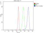 Flow Cytometry analysis of Jurkat cells using anti-FYCO1 antibody. Overlay histogram showing Jurkat cells stained with (Blue line). To facilitate intracellular staining, cells were fixed with 4% paraformaldehyde and permeabilized with permeabilization buffer. The cells were blocked with 10% normal goat serum. And then incubated with rabbit anti-FYCO1 antibody (1 ug/million cells) for 30 min at 20oC. DyLight 488 conjugated goat anti-rabbit IgG (5-10 ug/million cells) was used as secondary antibody for 30 minutes at 20oC. Isotype control antibody (Green line) was rabbit IgG (1 ug/million cells) used under the same conditions. Unlabelled sample without incubation with primary antibody and secondary antibody (Red line) was used as a blank control.