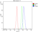 Flow Cytometry analysis of HEL cells using anti-KCNA6 antibody. Overlay histogram showing HEL cells stained with (Blue line). The cells were fixed with 4% paraformaldehyde and blocked with 10% normal goat serum. And then incubated with rabbit anti-KCNA6 antibody (1 ug/million cells) for 30 min at 20oC. DyLight 488 conjugated goat anti-rabbit IgG (5-10 ug/million cells) was used as secondary antibody for 30 minutes at 20oC. Isotype control antibody (Green line) was rabbit IgG (1 ug/million cells) used under the same conditions. Unlabelled sample without incubation with primary antibody and secondary antibody (Red line) was used as a blank control.