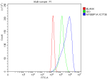 Flow Cytometry analysis of cells using anti-MYBBP1A antibody. Overlay histogram showing cells stained with (Blue line). To facilitate intracellular staining, cells were fixed with 4% paraformaldehyde and permeabilized with permeabilization buffer. The cells were blocked with 10% normal goat serum. And then incubated with rabbit anti-MYBBP1A antibody (1 ug/million cells) for 30 min at 20oC. DyLight 488 conjugated goat anti-rabbit IgG (5-10 ug/million cells) was used as secondary antibody for 30 minutes at 20oC. Isotype control antibody (Green line) was rabbit IgG (1 ug/million cells) used under the same conditions. Unlabelled sample without incubation with primary antibody and secondary antibody (Red line) was used as a blank control.