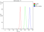 Flow Cytometry analysis of K562 cells using anti-ELP2 antibody. Overlay histogram showing K562 cells stained with (Blue line). To facilitate intracellular staining, cells were fixed with 4% paraformaldehyde and permeabilized with permeabilization buffer. The cells were blocked with 10% normal goat serum. And then incubated with rabbit anti-ELP2 antibody (1 ug/million cells) for 30 min at 20oC. DyLight 488 conjugated goat anti-rabbit IgG (5-10 ug/million cells) was used as secondary antibody for 30 minutes at 20oC. Isotype control antibody (Green line) was rabbit IgG (1 ug/million cells) used under the same conditions. Unlabelled sample without incubation with primary antibody and secondary antibody (Red line) was used as a blank control.