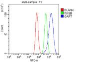 Flow Cytometry analysis of HepG2 cells using anti-GART antibody. Overlay histogram showing HepG2 cells stained with (Blue line). To facilitate intracellular staining, cells were fixed with 4% paraformaldehyde and permeabilized with permeabilization buffer. The cells were blocked with 10% normal goat serum. And then incubated with rabbit anti-GART antibody (1 ug/million cells) for 30 min at 20oC. DyLight 488 conjugated goat anti-rabbit IgG (5-10 ug/million cells) was used as secondary antibody for 30 minutes at 20oC. Isotype control antibody (Green line) was rabbit IgG (1 ug/million cells) used under the same conditions. Unlabelled sample (Red line) was also used as a control.