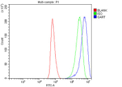 Flow Cytometry analysis of HELA cells using anti-GART antibody. Overlay histogram showing HELA cells stained with (Blue line). To facilitate intracellular staining, cells were fixed with 4% paraformaldehyde and permeabilized with permeabilization buffer. The cells were blocked with 10% normal goat serum. And then incubated with rabbit anti-GART antibody (1 ug/million cells) for 30 min at 20oC. DyLight 488 conjugated goat anti-rabbit IgG (5-10 ug/million cells) was used as secondary antibody for 30 minutes at 20oC. Isotype control antibody (Green line) was rabbit IgG (1 ug/million cells) used under the same conditions. Unlabelled sample (Red line) was also used as a control.