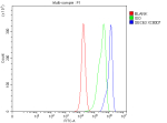Flow Cytometry analysis of PC-3 cells using anti-SEC63 antibody. Overlay histogram showing PC-3 cells stained with (Blue line). To facilitate intracellular staining, cells were fixed with 4% paraformaldehyde and permeabilized with permeabilization buffer. The cells were blocked with 10% normal goat serum. And then incubated with rabbit anti-SEC63 antibody (1 ug/million cells) for 30 min at 20oC. DyLight 488 conjugated goat anti-rabbit IgG (5-10 ug/million cells) was used as secondary antibody for 30 minutes at 20oC. Isotype control antibody (Green line) was rabbit IgG (1 ug/million cells) used under the same conditions. Unlabelled sample without incubation with primary antibody and secondary antibody (Red line) was used as a blank control.