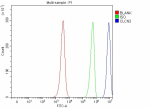 Flow Cytometry analysis of JK cells using anti-AXIN1 antibody. Overlay histogram showing JK cells stained with (Blue line). To facilitate intracellular staining, cells were fixed with 4% paraformaldehyde and permeabilized with permeabilization buffer. The cells were blocked with 10% normal goat serum. And then incubated with rabbit anti-AXIN1 antibody (1 ug/million cells) for 30 min at 20oC. DyLight 488 conjugated goat anti-rabbit IgG (5-10 ug/million cells) was used as secondary antibody for 30 minutes at 20oC. Isotype control antibody (Green line) was rabbit IgG (1 ug/million cells) used under the same conditions. Unlabelled sample without incubation with primary antibody and secondary antibody (Red line) was used as a blank control.