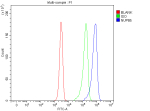 Flow Cytometry analysis of Jurkat cells using anti-NUP85 antibody. Overlay histogram showing Jurkat cells stained with (Blue line). To facilitate intracellular staining, cells were fixed with 4% paraformaldehyde and permeabilized with permeabilization buffer. The cells were blocked with 10% normal goat serum. And then incubated with rabbit anti-NUP85 antibody (1 ug/million cells) for 30 min at 20oC. DyLight 488 conjugated goat anti-rabbit IgG (5-10 ug/million cells) was used as secondary antibody for 30 minutes at 20oC. Isotype control antibody (Green line) was rabbit IgG (1 ug/million cells) used under the same conditions. Unlabelled sample without incubation with primary antibody and secondary antibody (Red line) was used as a blank control.