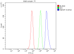 Flow Cytometry analysis of HepG2 cells using anti-FBXW7 antibody. Overlay histogram showing HepG2 cells stained with (Blue line). To facilitate intracellular staining, cells were fixed with 4% paraformaldehyde and permeabilized with permeabilization buffer. The cells were blocked with 10% normal goat serum. And then incubated with rabbit anti-FBXW7 antibody (1 ug/million cells) for 30 min at 20oC. DyLight 488 conjugated goat anti-rabbit IgG (5-10 ug/million cells) was used as secondary antibody for 30 minutes at 20oC. Isotype control antibody (Green line) was rabbit IgG (1 ug/million cells) used under the same conditions. Unlabelled sample without incubation with primary antibody and secondary antibody (Red line) was used as a blank control.
