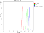 Flow Cytometry analysis of NIH3T3 cells using anti-UBE2A/UBE2B antibody. Overlay histogram showing NIH3T3 cells stained with (Blue line). To facilitate intracellular staining, cells were fixed with 4% paraformaldehyde and permeabilized with permeabilization buffer. The cells were blocked with 10% normal goat serum. And then incubated with rabbit anti-UBE2A/UBE2B antibody (1 ug/million cells) for 30 min at 20oC. DyLight 488 conjugated goat anti-rabbit IgG (5-10 ug/million cells) was used as secondary antibody for 30 minutes at 20oC. Isotype control antibody (Green line) was rabbit IgG (1 ug/million cells) used under the same conditions. Unlabelled sample without incubation with primary antibody and secondary antibody (Red line) was used as a blank control.