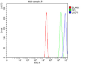 Flow Cytometry analysis of cells using anti-LUZP1 antibody. Overlay histogram showing cells stained with (Blue line). To facilitate intracellular staining, cells were fixed with 4% paraformaldehyde and permeabilized with permeabilization buffer. The cells were blocked with 10% normal goat serum. And then incubated with rabbit anti-LUZP1 antibody (1 ug/million cells) for 30 min at 20oC. DyLight 488 conjugated goat anti-rabbit IgG (5-10 ug/million cells) was used as secondary antibody for 30 minutes at 20oC. Isotype control antibody (Green line) was rabbit IgG (1 ug/million cells) used under the same conditions. Unlabelled sample (Red line) was also used as a control.