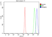 Flow Cytometry analysis of U20S cells using anti-RANBP9 antibody. Overlay histogram showing U20S cells stained with (Blue line). To facilitate intracellular staining, cells were fixed with 4% paraformaldehyde and permeabilized with permeabilization buffer. The cells were blocked with 10% normal goat serum. And then incubated with rabbit anti-RANBP9 antibody (1 ug/million cells) for 30 min at 20oC. DyLight 488 conjugated goat anti-rabbit IgG (5-10 ug/million cells) was used as secondary antibody for 30 minutes at 20oC. Isotype control antibody (Green line) was rabbit IgG (1 ug/million cells) used under the same conditions. Unlabelled sample (Red line) was also used as a control.