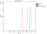 Flow Cytometry analysis of Caco-2 cells using anti-TFCP2 antibody. Overlay histogram showing Caco-2 cells stained with (Blue line). To facilitate intracellular staining, cells were fixed with 4% paraformaldehyde and permeabilized with permeabilization buffer. The cells were blocked with 10% normal goat serum. And then incubated with rabbit anti-TFCP2 antibody (1 ug/million cells) for 30 min at 20oC. DyLight 488 conjugated goat anti-rabbit IgG (5-10 ug/million cells) was used as secondary antibody for 30 minutes at 20oC. Isotype control antibody (Green line) was rabbit IgG (1 ug/million cells) used under the same conditions. Unlabelled sample without incubation with primary antibody and secondary antibody (Red line) was used as a blank control.